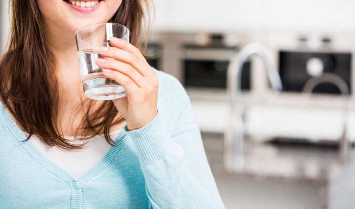 Hellenbrand Iron Curtain Jr chemical-free iron removal system