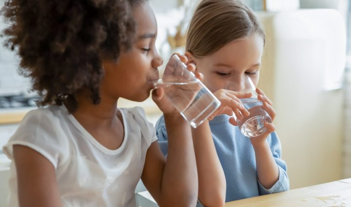 Hellenbrand ProMate 6 with Iron Curtain Jr combination system